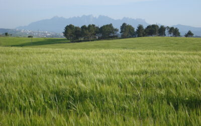 De pàtries i exclusions