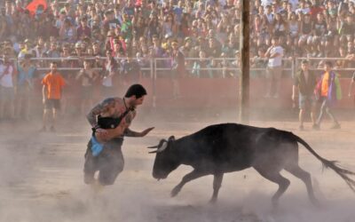 Després de les vaquetes…