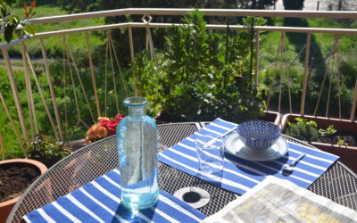 Vint-i-cinquè dia de reclusió