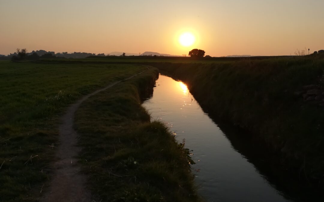 Quan ens va ser concedit el do de viure sense sorolls