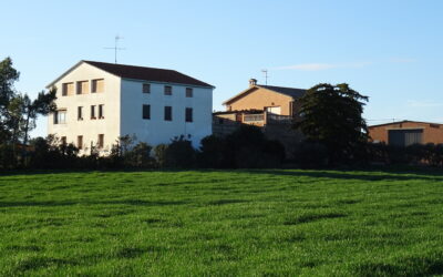 MAS AROLA