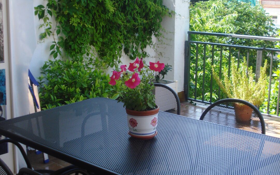 Vincles intergeneracionals