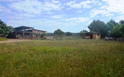 LA BROLLA, un projecte neorural de ramaderia cabruna
